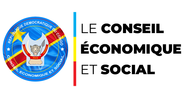 Conseil Économique et Social de la RDC